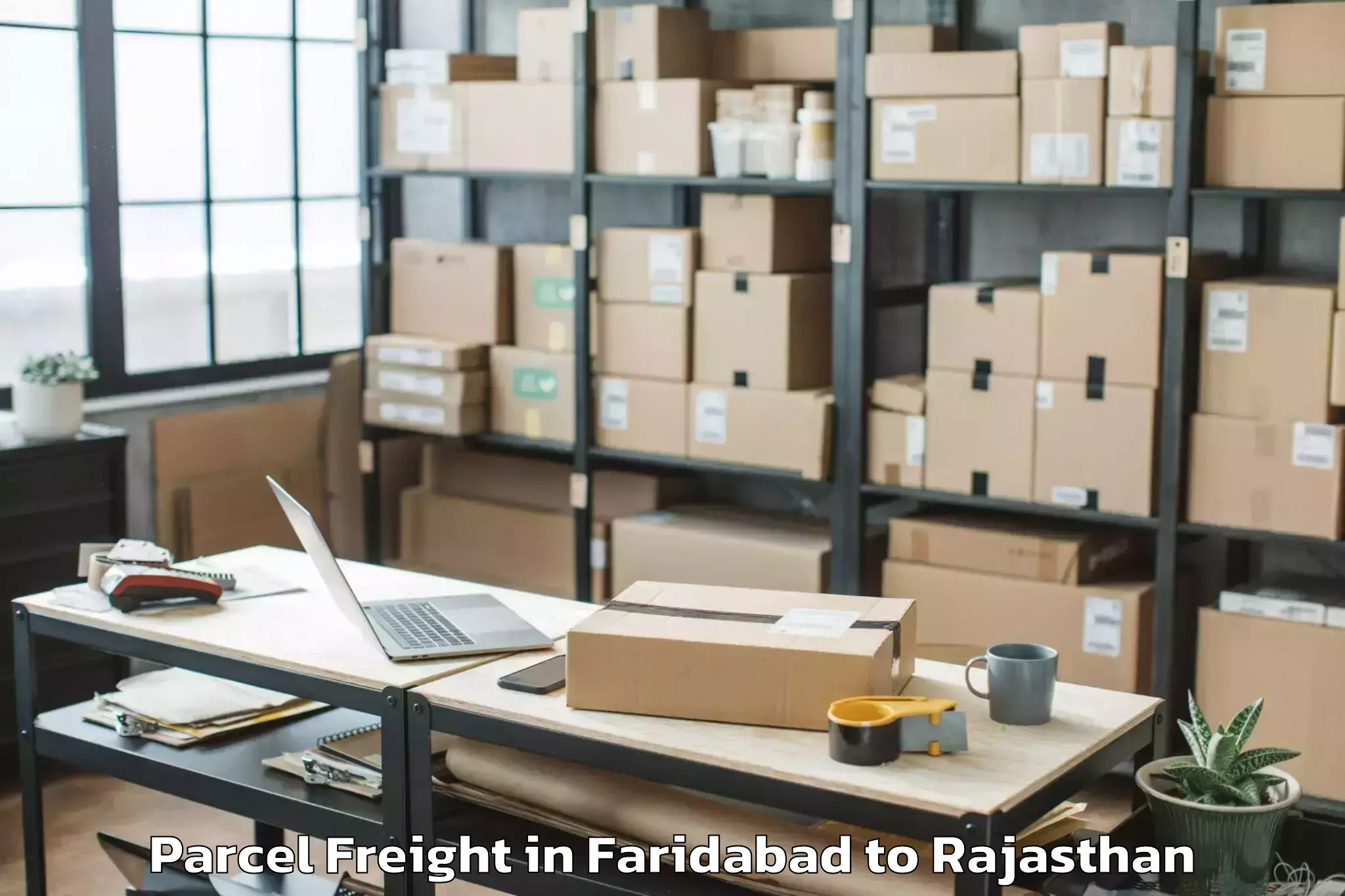 Book Faridabad to Amet Parcel Freight Online